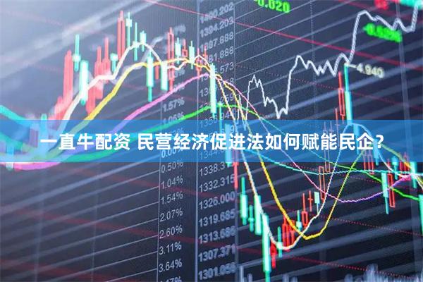 一直牛配资 民营经济促进法如何赋能民企？