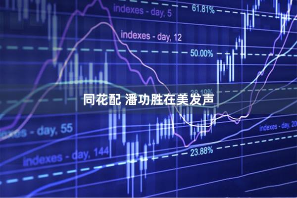 同花配 潘功胜在美发声