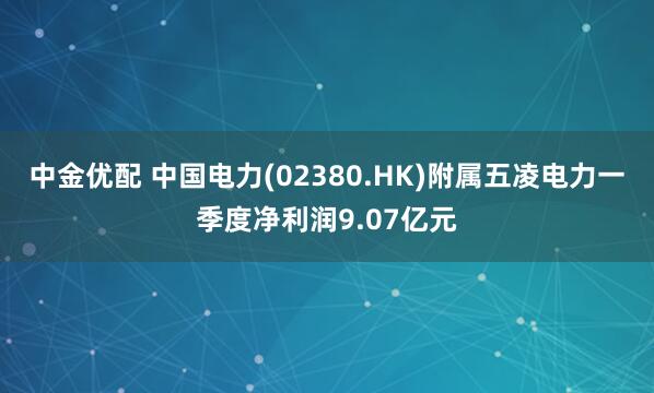 中金优配 中国电力(02380.HK)附属五凌电力一季度净利润9.07亿元