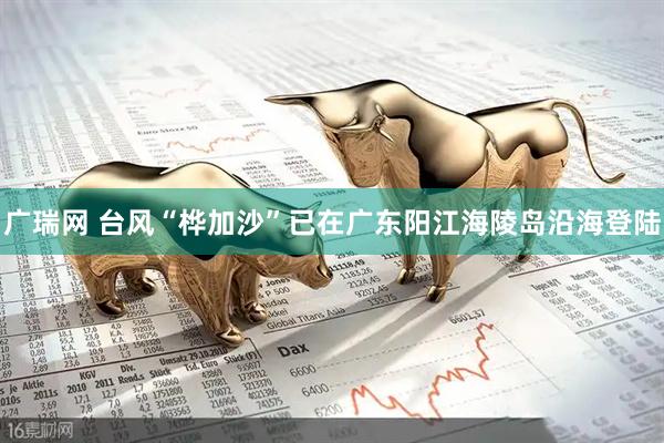 广瑞网 台风“桦加沙”已在广东阳江海陵岛沿海登陆