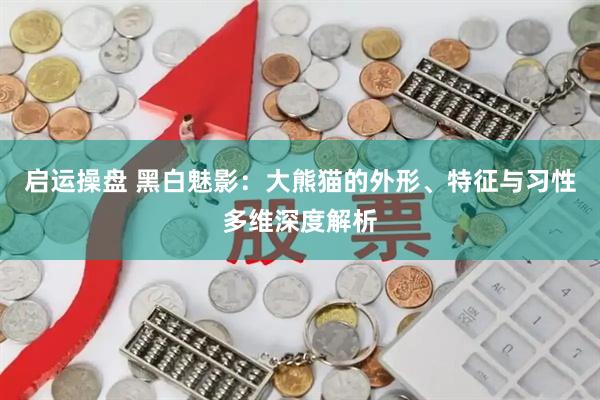启运操盘 黑白魅影：大熊猫的外形、特征与习性多维深度解析