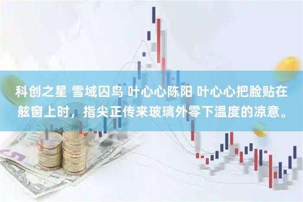 科创之星 雪域囚鸟 叶心心陈阳 叶心心把脸贴在舷窗上时，指尖正传来玻璃外零下温度的凉意。