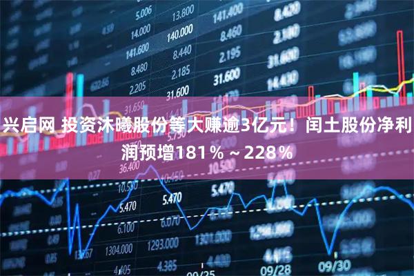 兴启网 投资沐曦股份等大赚逾3亿元!闰土股份净利润预增181%~228%