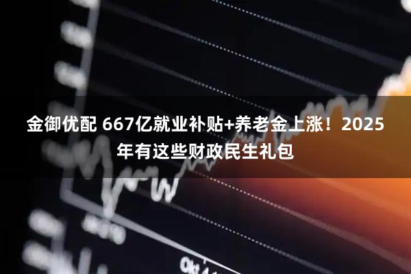 金御优配 667亿就业补贴+养老金上涨！2025年有这些财政民生礼包