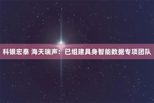 科银宏泰 海天瑞声：已组建具身智能数据专项团队