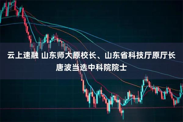 云上速融 山东师大原校长、山东省科技厅原厅长唐波当选中科院院士